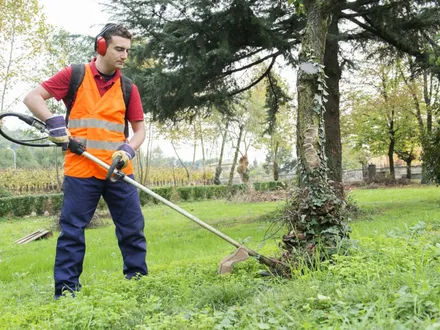 Groenmedewerker Ermelo