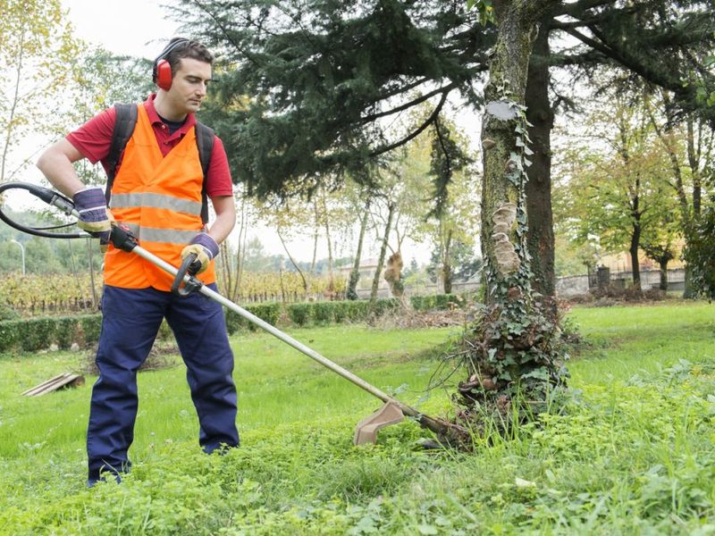 Groenmedewerker Ermelo